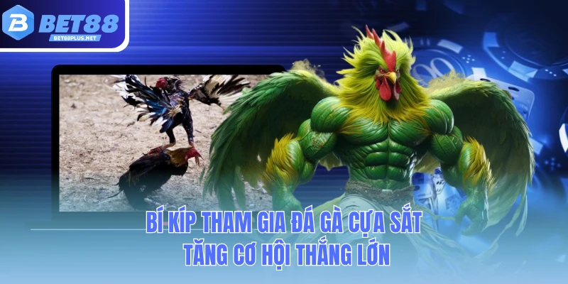 bi kip tham gia da ga cua sat tang co hoi thang lon bi kip tham gia da ga cua sat tang co hoi thang lon